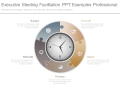 Executive Meeting Facilitation Ppt Examples Professional