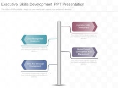 Executive Skills Development Ppt Presentation