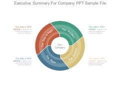 Executive Summary For Company Ppt Sample File Executive Summary For Company Ppt Sample File