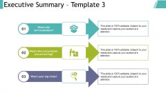 executive summary slide geeks