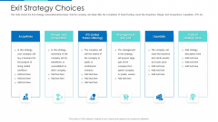 Exit Strategy Choices Ppt Pictures Skills PDF