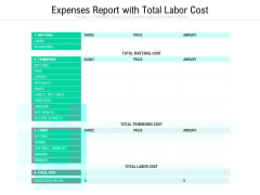 Expenses Report With Total Labor Cost Ppt PowerPoint Presentation Professional Graphics Tutorials PDF Expenses Report With Total Labor Cost Ppt PowerPoint Presentation Professional Graphics Tutorials PDF
