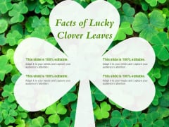 Facts Of Lucky Clover Leaves Ppt PowerPoint Presentation Infographic Template Designs Facts Of Lucky Clover Leaves Ppt PowerPoint Presentation Infographic Template Designs