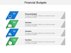 Financial Budgets Ppt PowerPoint Presentation Styles Example File Cpb