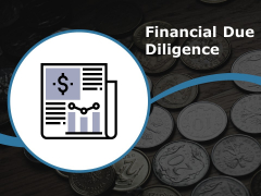 Financial Due Diligence Ppt PowerPoint Presentation Infographic Template Brochure