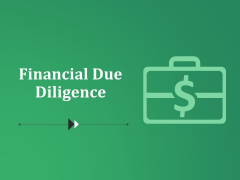 Financial Due Diligence Ppt PowerPoint Presentation Infographics Graphics Financial Due Diligence Ppt PowerPoint Presentation Infographics Graphics