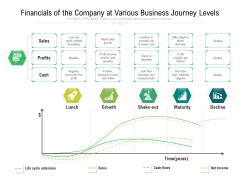 Financials Of The Company At Various Business Journey Levels Ppt PowerPoint Presentation File Portrait PDF Financials Of The Company At Various Business Journey Levels Ppt PowerPoint Presentation File Portrait PDF