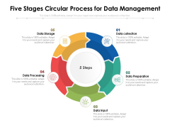 Five Stages Circular Process For Data Management Ppt PowerPoint Presentation Slides Graphics Example PDF Five Stages Circular Process For Data Management Ppt PowerPoint Presentation Slides Graphics Example PDF