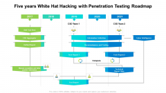 Five Years White Hat Hacking With Penetration Testing Roadmap Icons