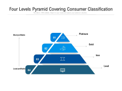 four levels pyramid covering consumer classification ppt powerpoint presentation gallery sample pdf