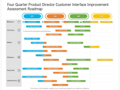 Four Quarter Product Director Customer Interface Improvement Assessment Roadmap Topics