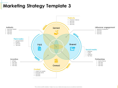 Global Organization Marketing Strategy Development Marketing Strategy Incentive Ideas PDF Global Organization Marketing Strategy Development Marketing Strategy Incentive Ideas PDF