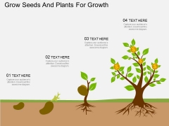 Grow Seeds And Plants For Growth Powerpoint Template Grow Seeds And Plants For Growth Powerpoint Template