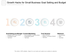 Growth Hacks For Small Business Goal Setting And Budget Ppt PowerPoint Presentation Icon Design Templates