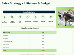 Guide To Overseas Expansion Plan For Corporate Entity Sales Strategy Initiatives And Budget Icons PDF Guide To Overseas Expansion Plan For Corporate Entity Sales Strategy Initiatives And Budget Icons PDF