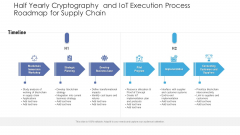 Half Yearly Cryptography And Iot Execution Process Roadmap For Supply Chain Summary