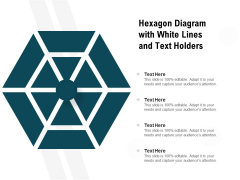 Hexagon Diagram With White Lines And Text Holders Ppt PowerPoint Presentation Icon Diagrams PDF