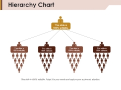 Hierarchy Chart Ppt Powerpoint Presentation Slides Example File Hierarchy Chart Ppt Powerpoint Presentation Slides Example File