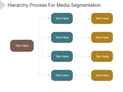 Hierarchy Process For Media Segmentation Ppt PowerPoint Presentation Guidelines