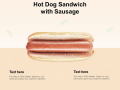 Hot Dog Sandwich With Sausage Ppt PowerPoint Presentation Icon Guidelines