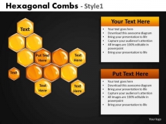 Hexagonal Combs PowerPoint Template Hexagonal Combs PowerPoint Template