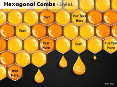 Hexagonal Combs Ppt Hexagonal Combs Ppt