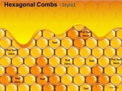 Honey Combs PowerPoint Background Slides Honey Combs PowerPoint Background Slides
