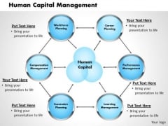 Human Capital Management Business PowerPoint Presentation Human Capital Management Business PowerPoint Presentation