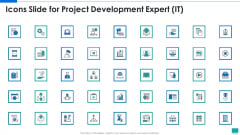 Icons Slide For Project Development Expert IT Ppt PowerPoint Presentation File Background Designs PDF