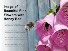 Image Of Beautiful Pink Flowers With Honey Bee Ppt PowerPoint Presentation Pictures Graphics Design Image Of Beautiful Pink Flowers With Honey Bee Ppt PowerPoint Presentation Pictures Graphics Design