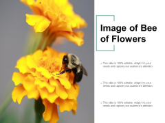 Image Of Bee Of Flowers Ppt PowerPoint Presentation Outline Visuals Image Of Bee Of Flowers Ppt PowerPoint Presentation Outline Visuals