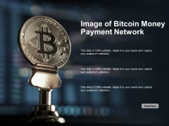 Image Of Bitcoin Money Payment Network Ppt PowerPoint Presentation Professional Example Introduction Image Of Bitcoin Money Payment Network Ppt PowerPoint Presentation Professional Example Introduction