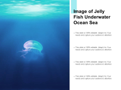 Image Of Jelly Fish Underwater Ocean Sea Ppt PowerPoint Presentation Infographic Template Deck