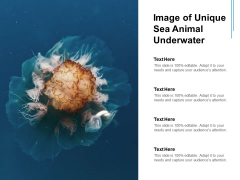 Image Of Unique Sea Animal Underwater Ppt PowerPoint Presentation Portfolio Clipart