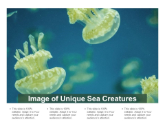 Image Of Unique Sea Creatures Ppt PowerPoint Presentation Pictures Outline Image Of Unique Sea Creatures Ppt PowerPoint Presentation Pictures Outline