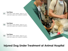 Injured Dog Under Treatment At Animal Hospital Ppt PowerPoint Presentation Infographics Skills PDF Injured Dog Under Treatment At Animal Hospital Ppt PowerPoint Presentation Infographics Skills PDF