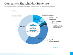 Insurance Organization Pitch Deck To Raise Money Companys Shareholder Structure Brochure PDF