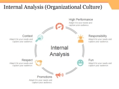 Internal Analysis Template 3 Ppt PowerPoint Presentation Pictures