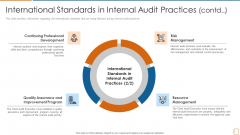International Standards In Internal Audit Practices Resource Ppt File Objects PDF International Standards In Internal Audit Practices Resource Ppt File Objects PDF