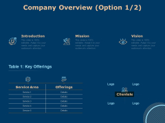 Investing In Start Ups Company Overview Option Ppt Summary Display PDF