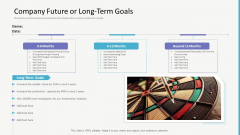 Investor Gap Financing Company Future Or Long Term Goals Sample PDF