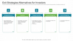 Investor Pitch Stock Market Launch Financial Institutions Exit Strategies Alternatives For Investors Mockup PDF Investor Pitch Stock Market Launch Financial Institutions Exit Strategies Alternatives For Investors Mockup PDF
