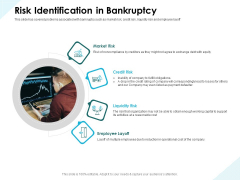 Issues Which Leads To Insolvency Risk Identification In Bankruptcy Guidelines PDF