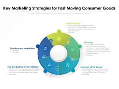 Key Marketing Strategies For Fast Moving Consumer Goods Ppt PowerPoint Presentation Infographics Influencers PDF Key Marketing Strategies For Fast Moving Consumer Goods Ppt PowerPoint Presentation Infographics Influencers PDF