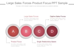 Large Sales Forces Product Focus Ppt Slides Large Sales Forces Product Focus Ppt Slides
