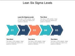 Lean Six Sigma Levels Ppt PowerPoint Presentation Model Inspiration Cpb