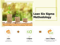 Lean Six Sigma Methodology Ppt PowerPoint Presentation Pictures Brochure PDF
