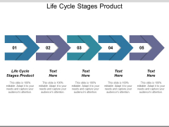 Life Cycle Stages Product Ppt PowerPoint Presentation Infographic Template Layout Ideas