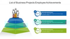 List Of Business Projects Employee Achievements Ppt Layouts Graphics Template PDF List Of Business Projects Employee Achievements Ppt Layouts Graphics Template PDF