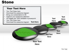 Leaf On Stone PowerPoint Slides And Ppt Diagram Templates Leaf On Stone PowerPoint Slides And Ppt Diagram Templates